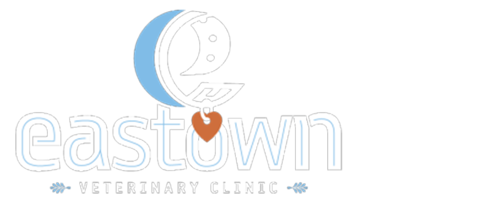 Eastown Veterinary Clinic | Veterinary Clinic & Pet Dentistry | Grand Rapids,  MI