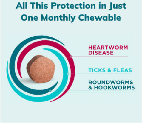 heartworm-prevention-blog-chewable