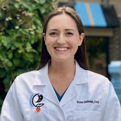 Dr. Brynn Hudanish