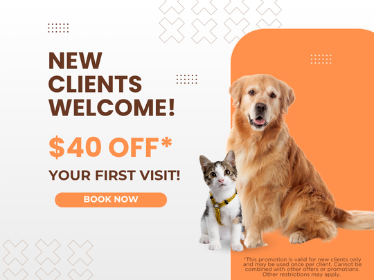 $40 off